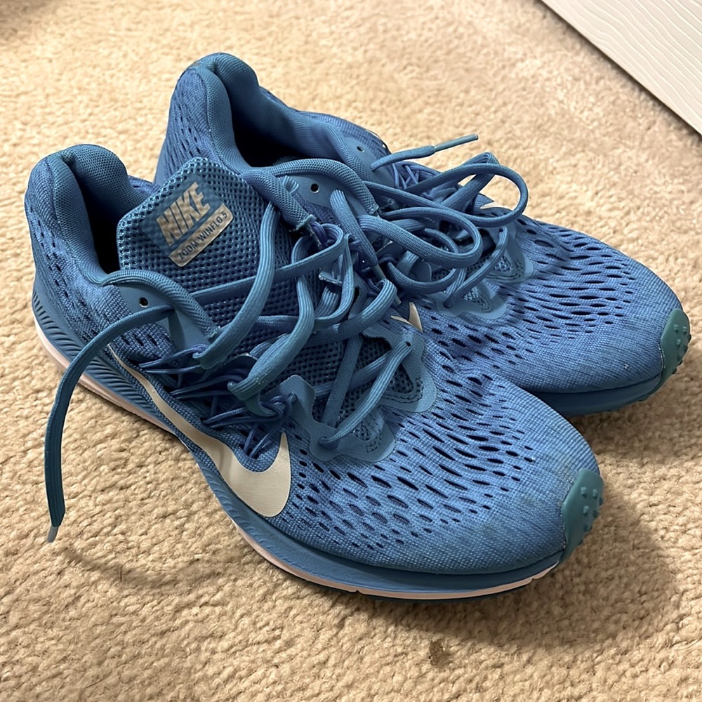 Nike Winflo